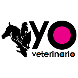 Yoveterinario